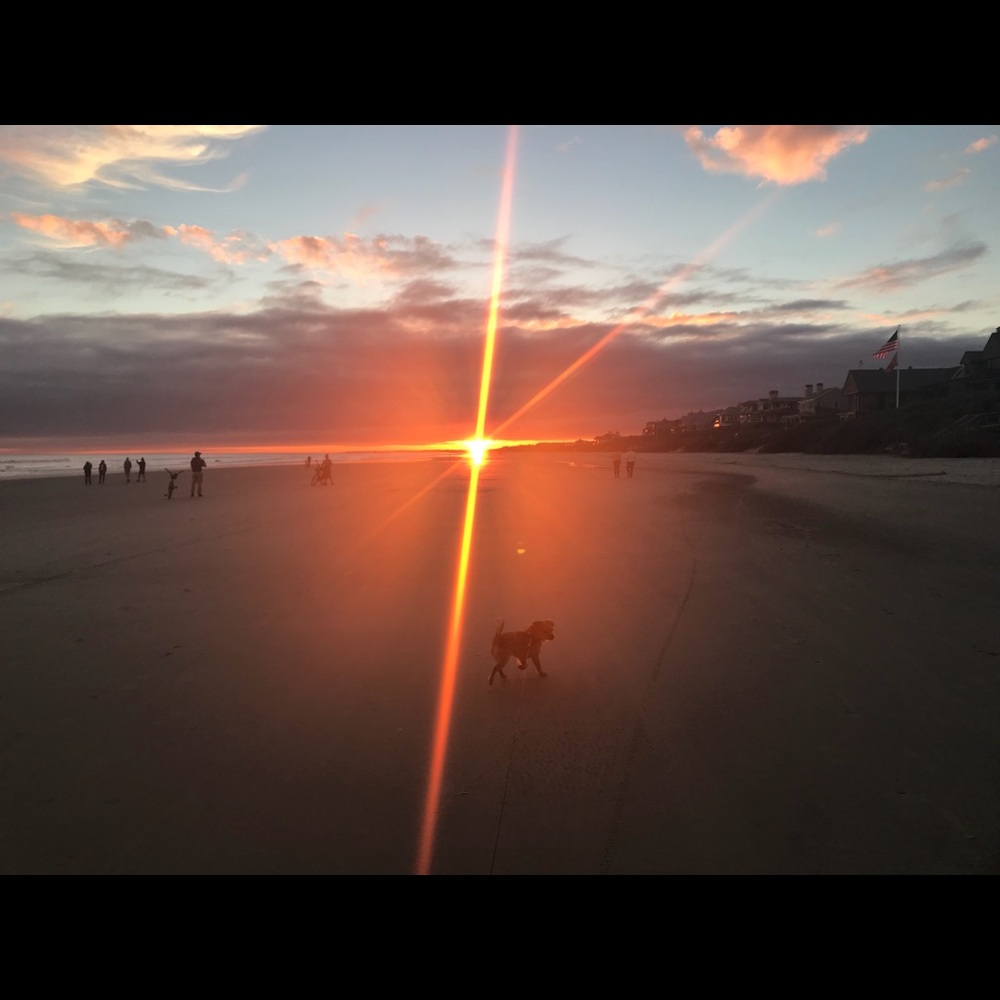 Meet your Posher, Maggie